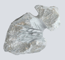 Available Sculpture #37, click for enlargement