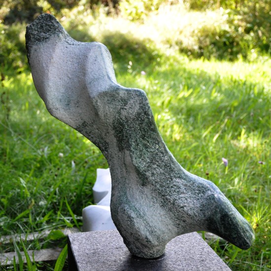 Sculpture 43 (Click to see the next picture)