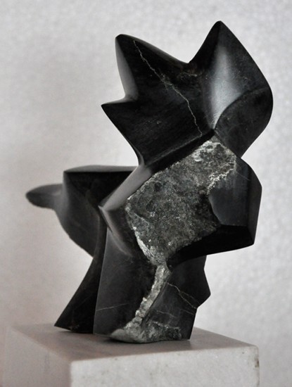 Sculpture 46 (Click to see the next picture)